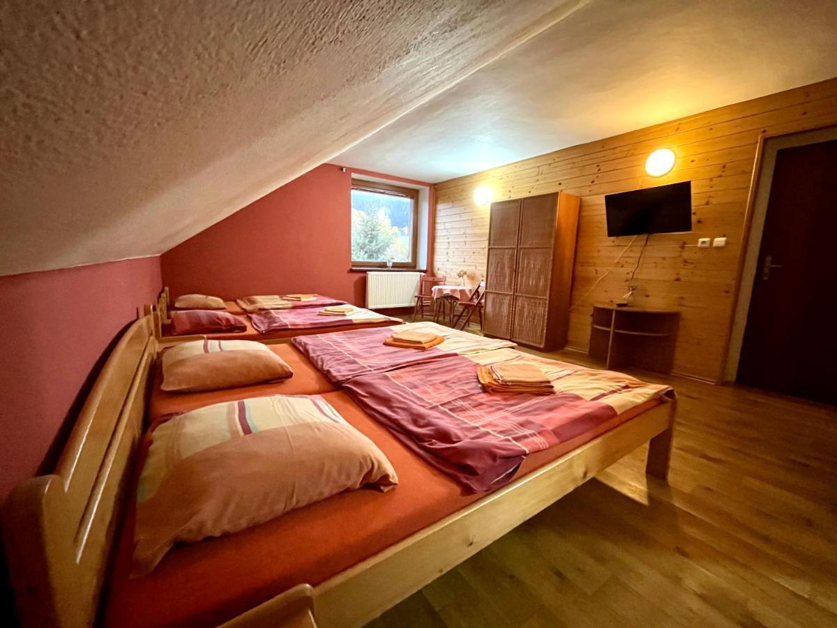 Hotel Penzion Horal Dolní Morava Esterno foto