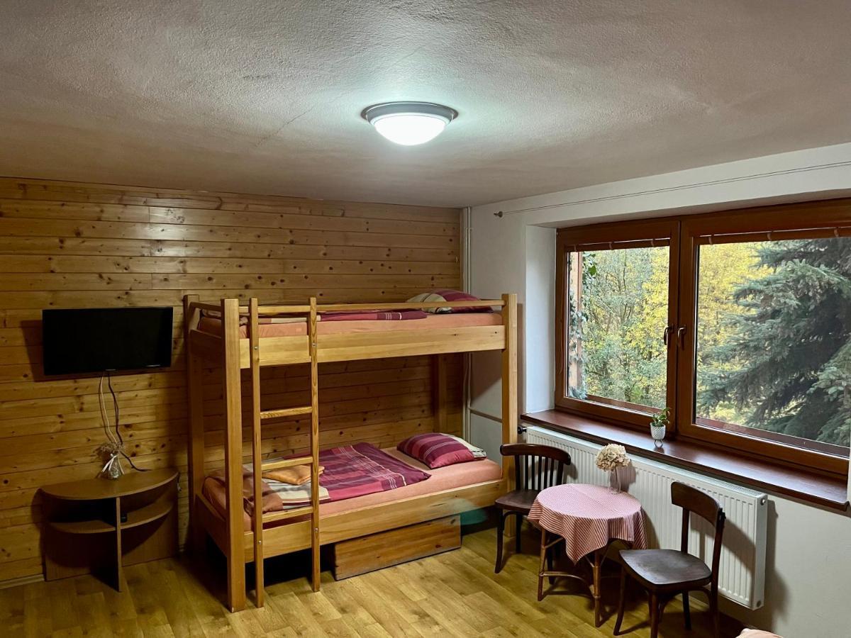Hotel Penzion Horal Dolní Morava Esterno foto