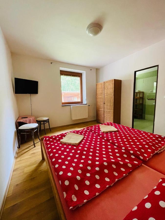 Hotel Penzion Horal Dolní Morava Esterno foto