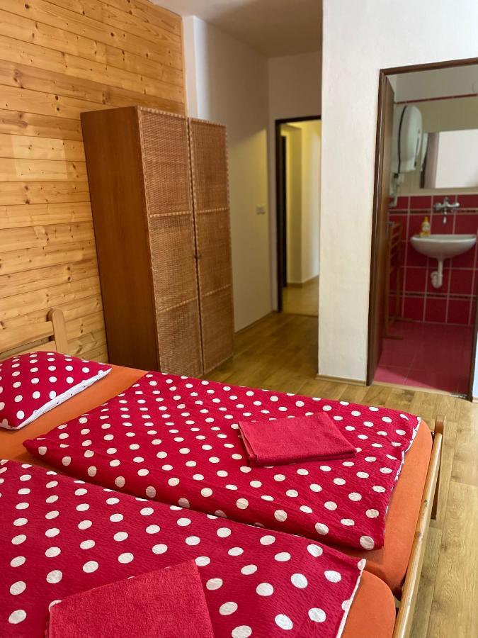 Hotel Penzion Horal Dolní Morava Esterno foto